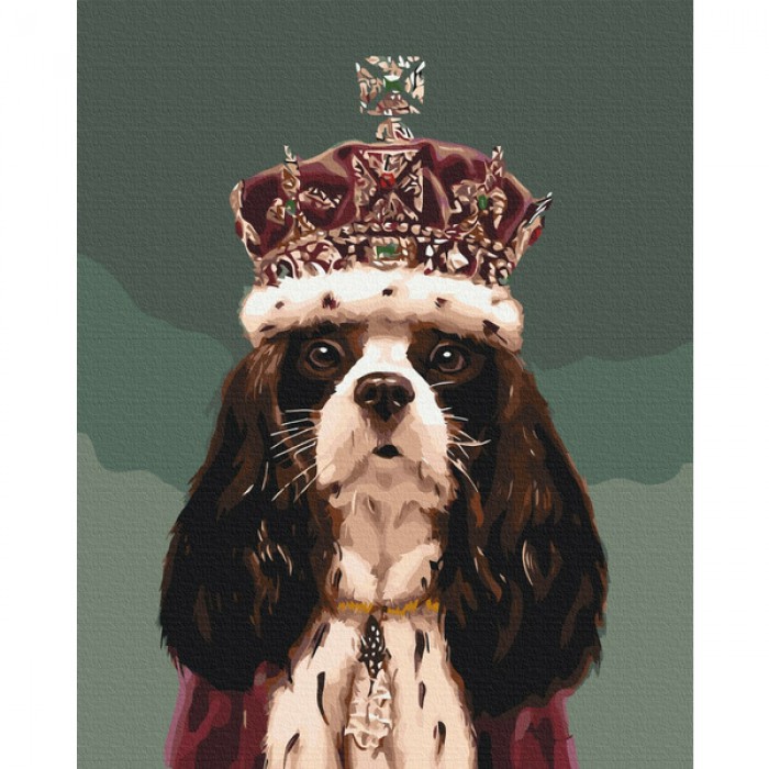 Король Чарльз ©Lucia Heffernan